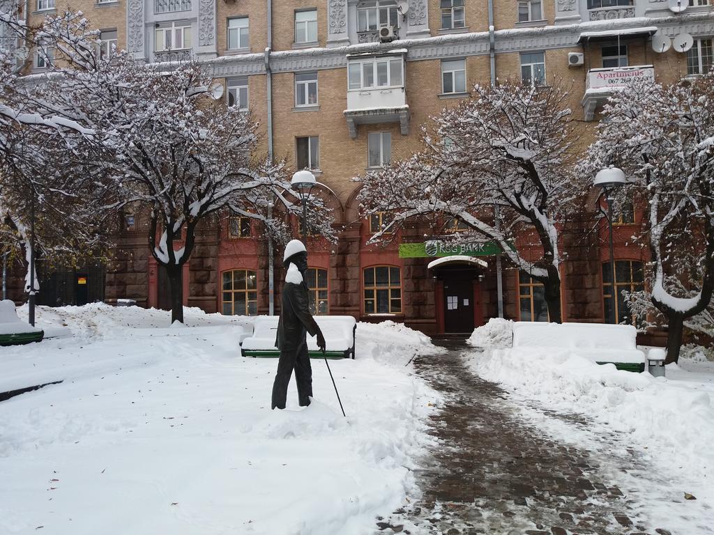Apartments Near Khreshchatyk-Absolut Kiev Dış mekan fotoğraf